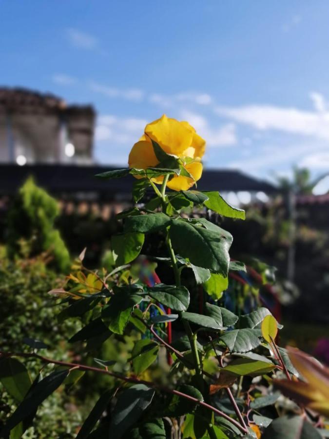 Salamina Highs Otel Dış mekan fotoğraf